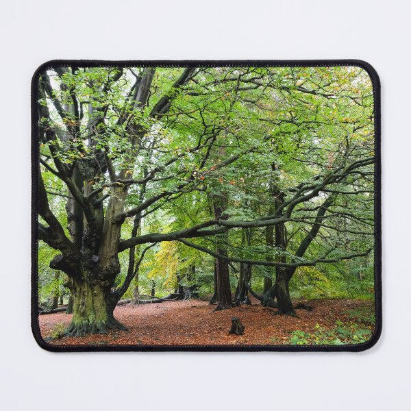 Item preview, autumn woodland designed and sold by markspics.