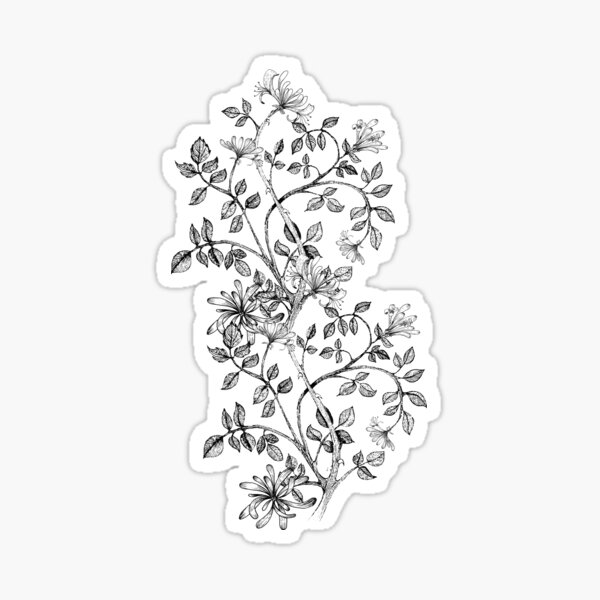 Mid century engraved art - China ink floral - black and white Sticker