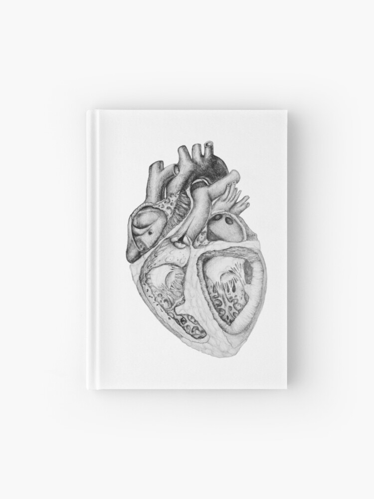 Realistic Heart Illustration With Valves Pencil Sketch Hardcover Journal By Charlottepoppyi Redbubble