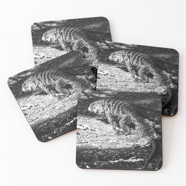 Item preview, lizard shedding its skin. designed and sold by Nino rocha fotografia.