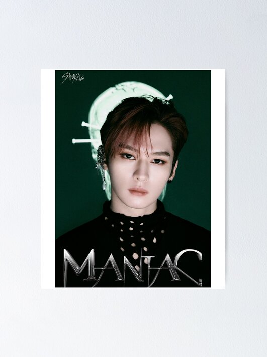 stray kids MANIAC random photo card Lee Know complete set K