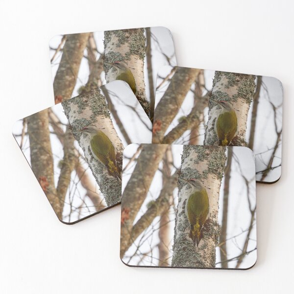 Item preview, Sharp look. Grey-headed woodpecker designed and sold by Jouko Lehto Photography.