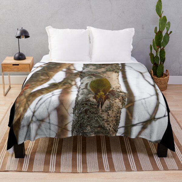 Item preview, Sharp look. Grey-headed woodpecker designed and sold by Jouko Lehto Photography.