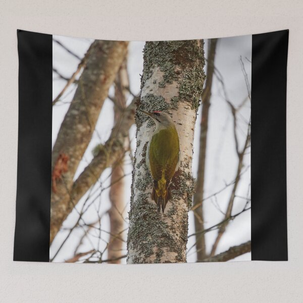 Item preview, Sharp look. Grey-headed woodpecker designed and sold by Jouko Lehto Photography.