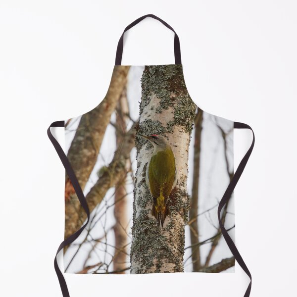 Item preview, Sharp look. Grey-headed woodpecker designed and sold by Jouko Lehto Photography.
