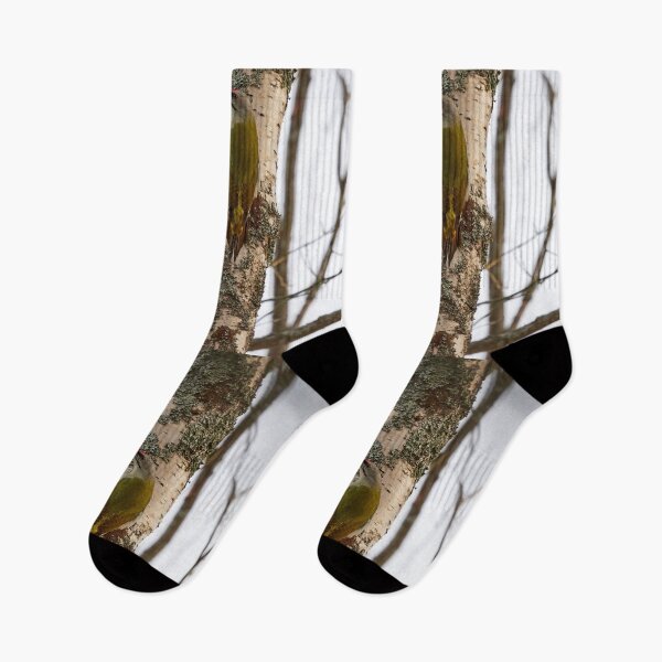 Item preview, Sharp look. Grey-headed woodpecker designed and sold by Jouko Lehto Photography.