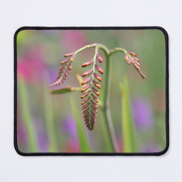 Item preview, anticipation designed and sold by markspics.