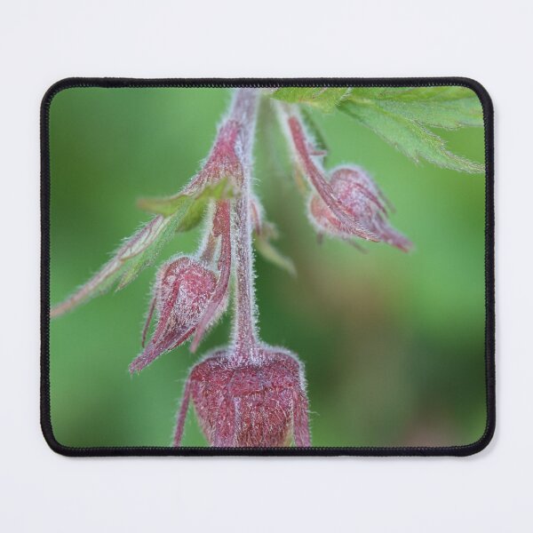 Item preview, water aven designed and sold by markspics.