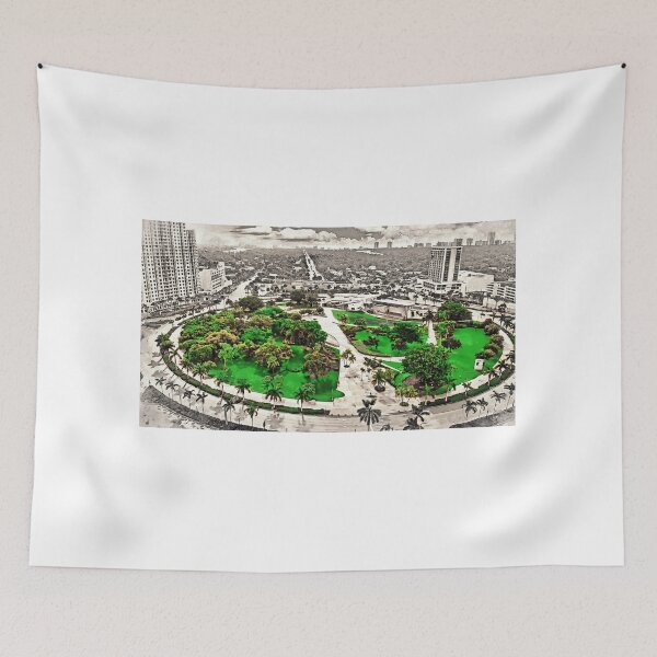 Item preview, Aerial view of the Young Circle Park in downtown Hollywood in black and white with green isolated designed and sold by NickoPrints.