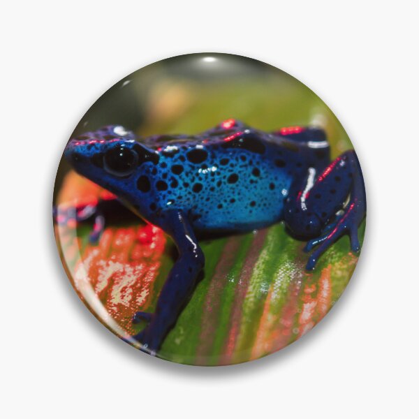 Item preview, Blue Poison Dart Arrow Frog designed and sold by Adaptive Boneyard.