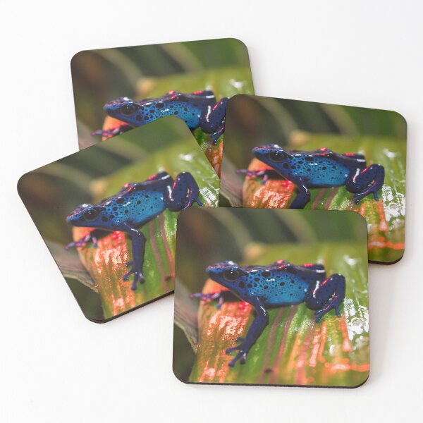 Item preview, Blue Poison Dart Arrow Frog designed and sold by Adaptive Boneyard.