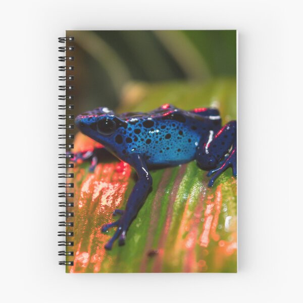 Item preview, Blue Poison Dart Arrow Frog designed and sold by Adaptive Boneyard.