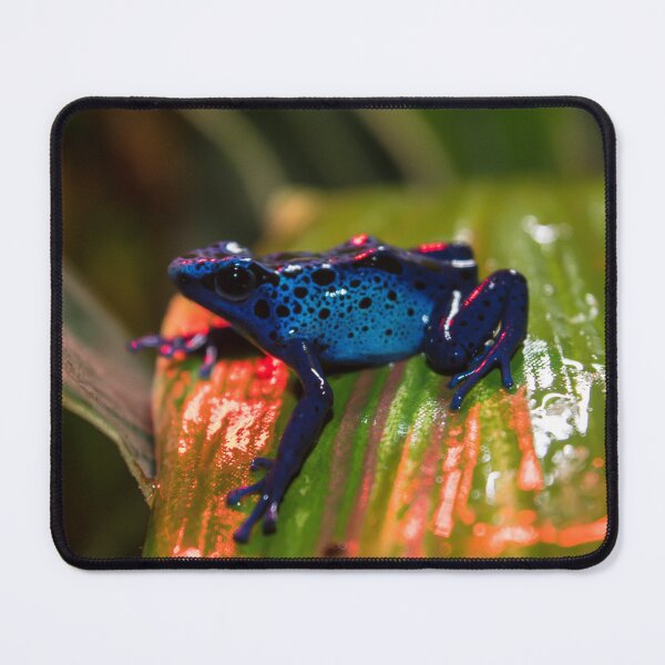 Item preview, Blue Poison Dart Arrow Frog designed and sold by Adaptive Boneyard.