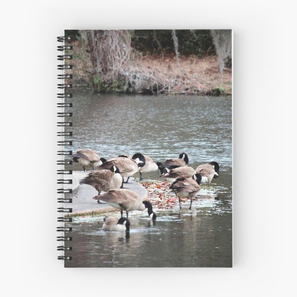 Item preview, Geese Spa Day designed and sold by Cynthia48.