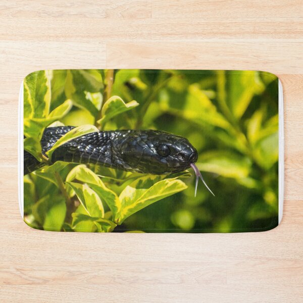 Item preview, Black Snake - Mangrove Snake   designed and sold by Adaptive Boneyard.