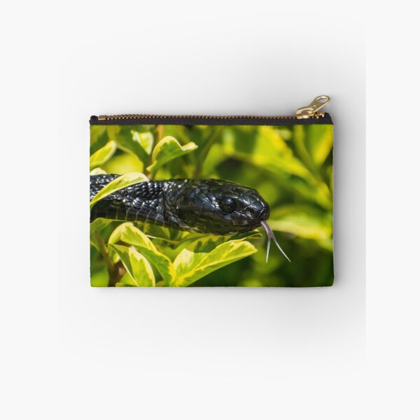 Item preview, Black Snake - Mangrove Snake   designed and sold by Adaptive Boneyard.