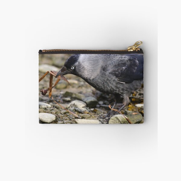 Item preview, Spring cleaning I designed and sold by GreyFeatherPhot.