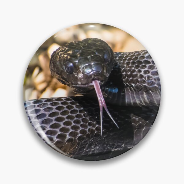Item preview, Black Snake - Mangrove Snake designed and sold by Adaptive Boneyard.