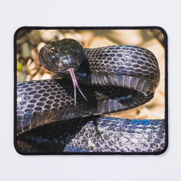 Item preview, Black Snake - Mangrove Snake designed and sold by Adaptive Boneyard.