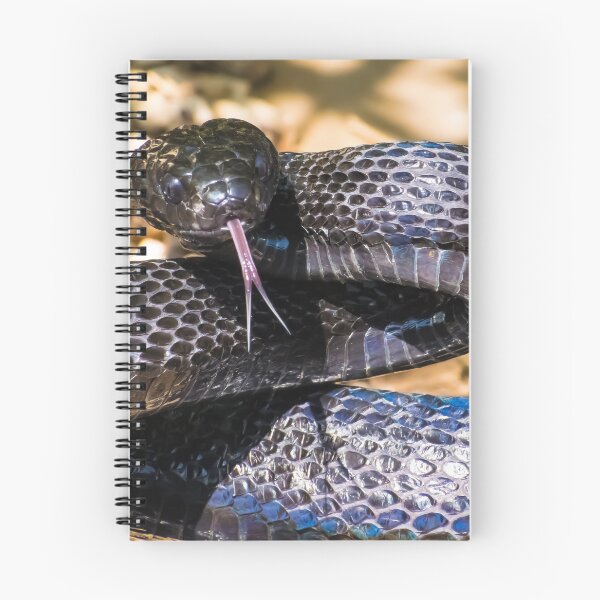 Item preview, Black Snake - Mangrove Snake designed and sold by Adaptive Boneyard.
