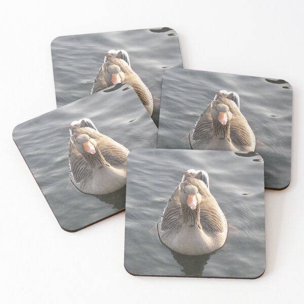 Item preview, Funny Greylag Goose with Beak open Photograph designed and sold by naturegallery.