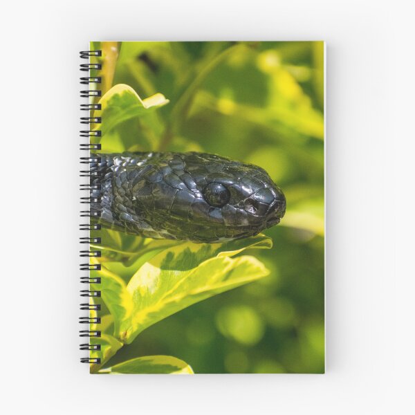 Item preview, Black Snake - Mangrove Snake  designed and sold by Adaptive Boneyard.
