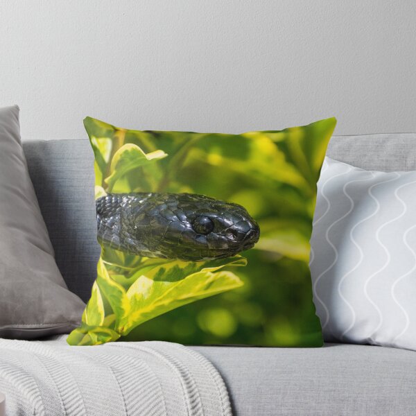 Item preview, Black Snake - Mangrove Snake  designed and sold by Adaptive Boneyard.
