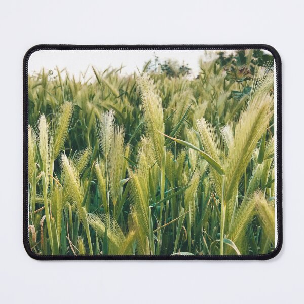 Item preview, grasses designed and sold by MaryMcwave.