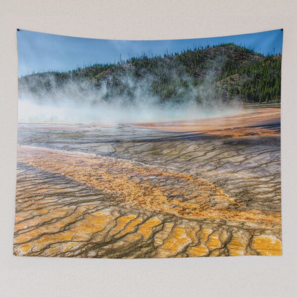 Item preview, Miniature Forests on the Edge of Grand Prismatic Spring in Yellowstone National Park designed and sold by Debra Martz.