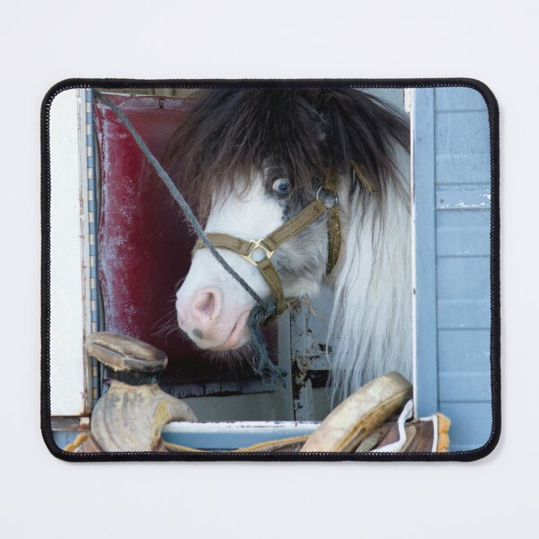 Item preview, pony in window designed and sold by MoreGoodArt.