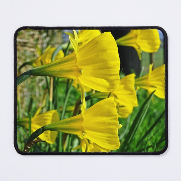 Item preview, Golden Bells designed and sold by Barrie Woodward.
