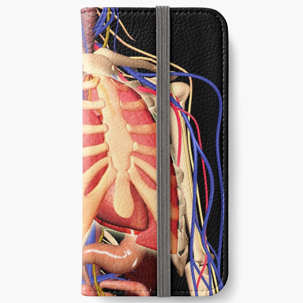 Human rib cage with lungs and nervous system Poster Print - Item #  VARPSTSTK701125H