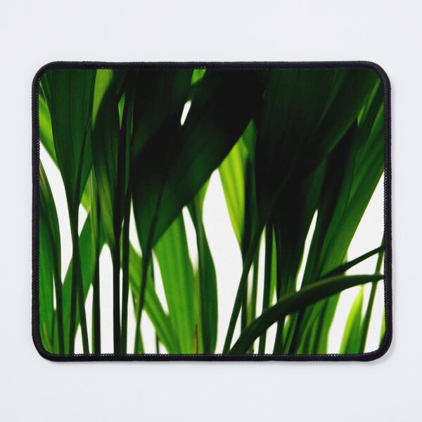 Item preview, Leaves Abstract Print - Areca Palm designed and sold by CarolinaReina.
