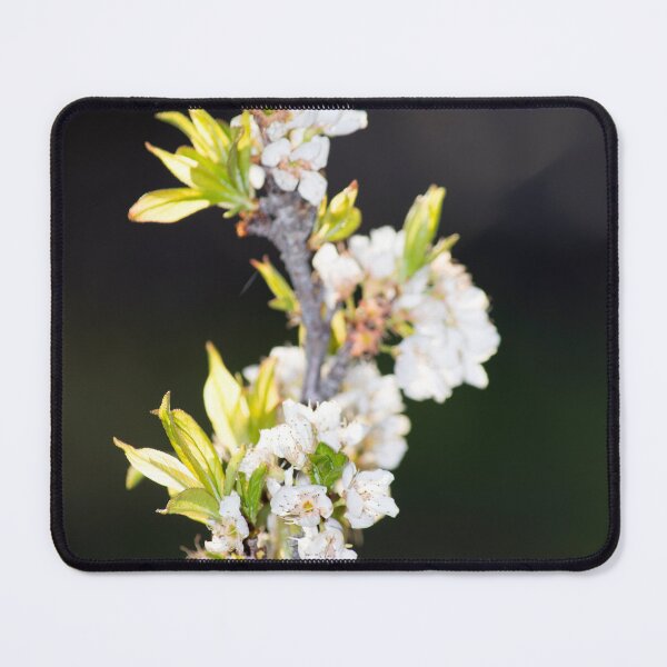 Item preview, spring blossoms designed and sold by MoreGoodArt.