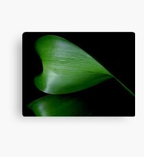 Natural Canvas Print
