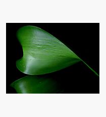 Natural Photographic Print