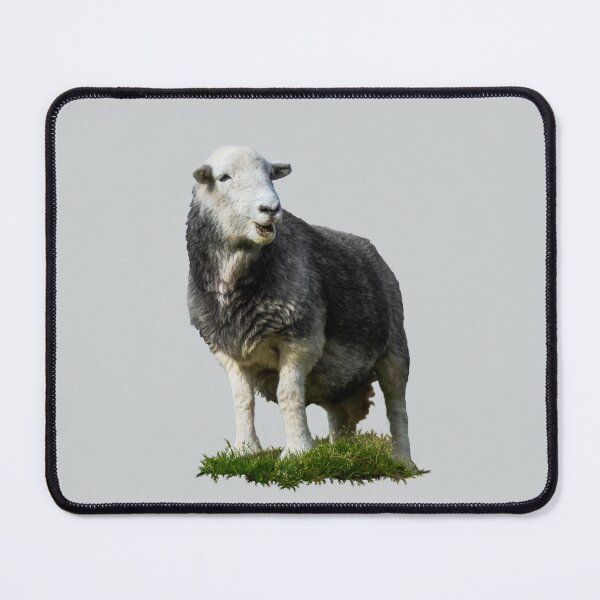Item preview, Herdwick Sheep Placement Print designed and sold by Jane Stanley Photography.