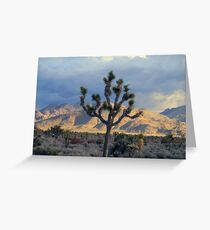 Lone Tree Greeting Card