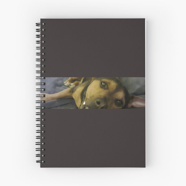 Item preview, My Jack Russell posing for the camera designed and sold by WelcomeUall.