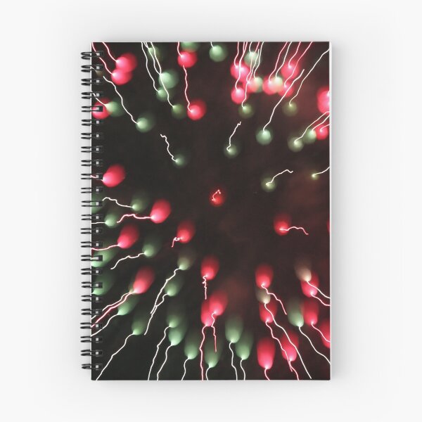 Aperçu de l'œuvre feux d'artifice 12/3/17 créée et vendue par gilliver.