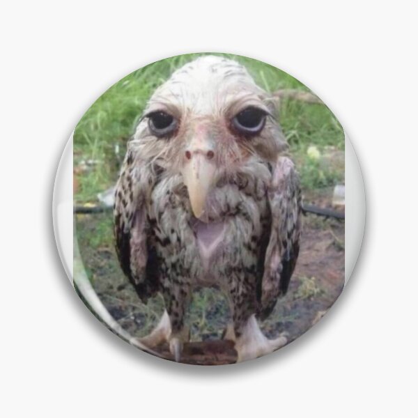 Item preview, an owl designed and sold by grubfan.