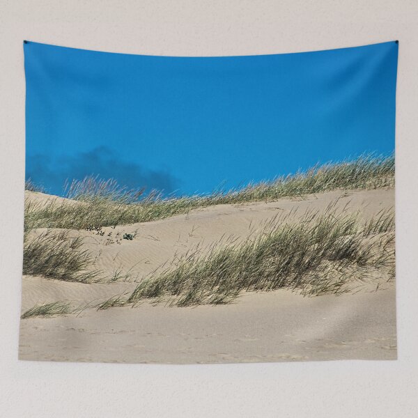 Aperçu de l'œuvre Paysage côtier de la plage de dunes de sable créée et vendue par Anna Lemos.