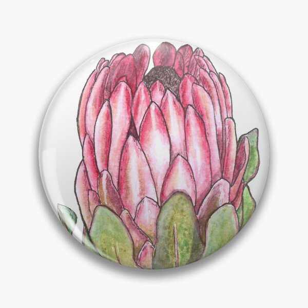 Artikelvorschau, Protea-Blume entworfen und verkauft von liwhannah-art.