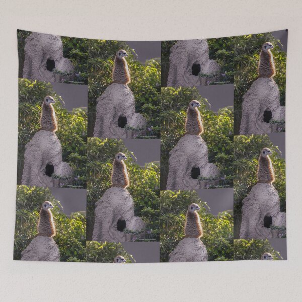 Item preview, Meerkat in the Sunshine...King of the Castle! designed and sold by heatherfriedman.