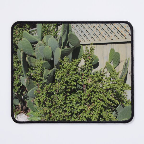Item preview, Cactus Sidewalk with Mailbox designed and sold by AshTreeCrtvCo.