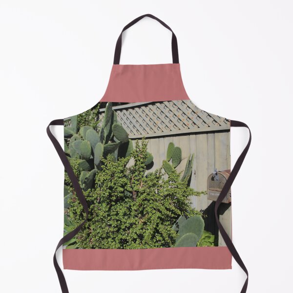 Item preview, Cactus Sidewalk with Mailbox designed and sold by AshTreeCrtvCo.