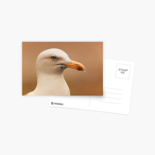 Item preview, gull II designed and sold by Zokakelt.