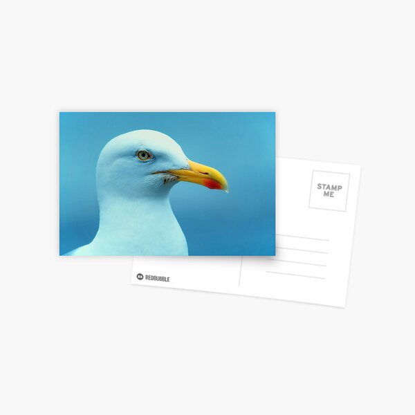 Item preview, gull designed and sold by Zokakelt.