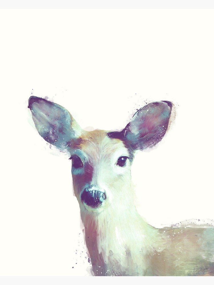 Whitetail No. 1 by AmyHamilton