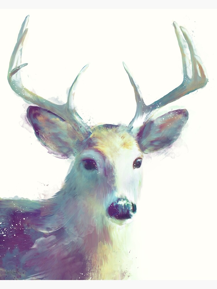 Whitetail No. 2 by AmyHamilton